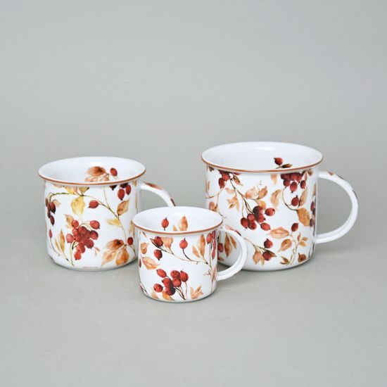 Mug Tina Fantasia, Autumn, 0,25 l middle, Cesky porcelan a.s.