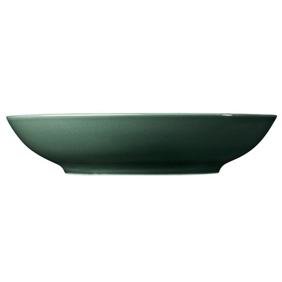 Terra MOSS GREEN: Talíř na těstoviny 26 cm, porcelán Seltmann