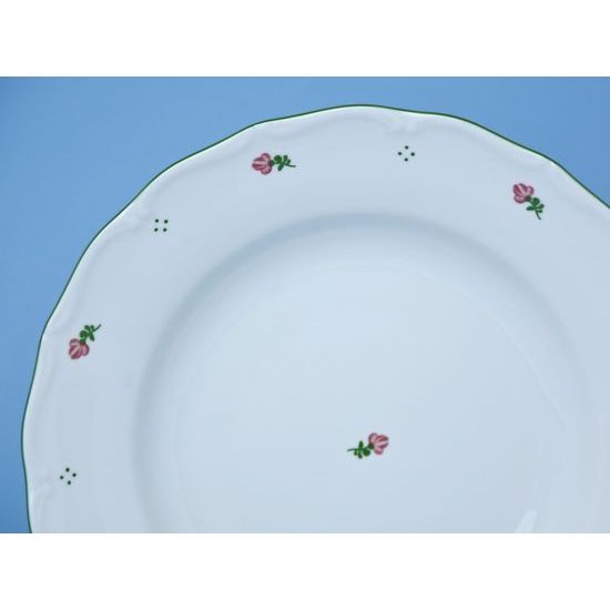 Plate deep 24 cm, Verona Q0072, G. Benedikt 1882