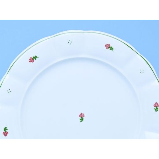 Plate dining 26 cm, red flowers + green, G. Benedikt 1882