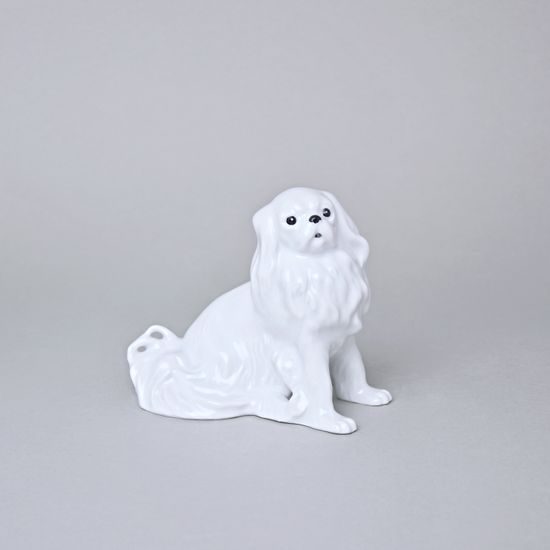 Pes Kavalír king Charles španěl, 13 x 7,2 x 11 cm, bílé, Porcelánové figurky Duchcov