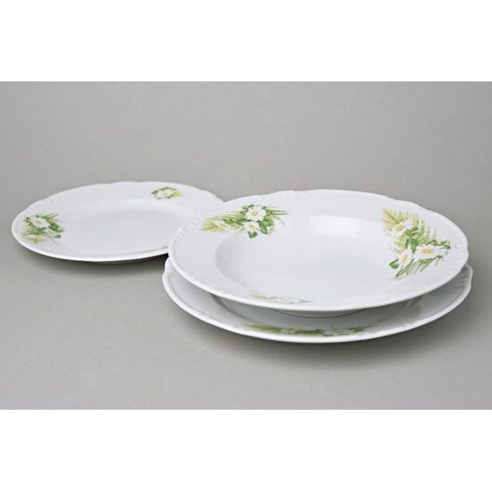 Talířová souprava pro 6 osob, Thun 1794, karlovarský porcelán, CONSTANCE 80262 kopretiny