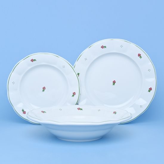 Plate set for 6 pers., 24,24,19, Benedikt red flowers + green, G. Benedikt 1882