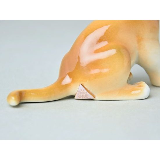 Lvíče 13 x 8 x 6 cm, Luxor, Porcelánové figurky Duchcov