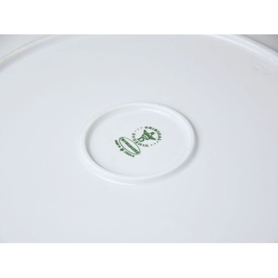 Plate square 29 cm, Green Onion Pattern, Cesky porcelan a.s.