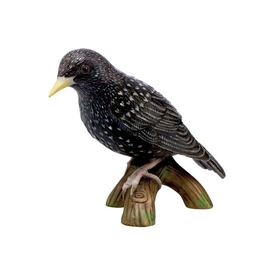 Bird of the Year 20218 - Starling 10 cm, porcelain, Goebel