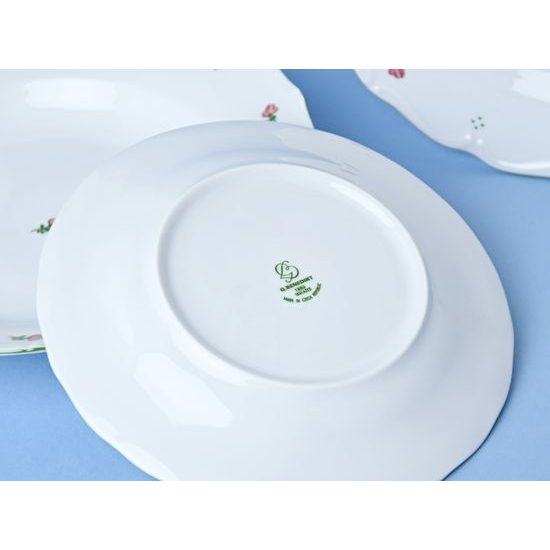 Plate set for 6 pers., Verona red flowers + green, G. Benedikt 1882