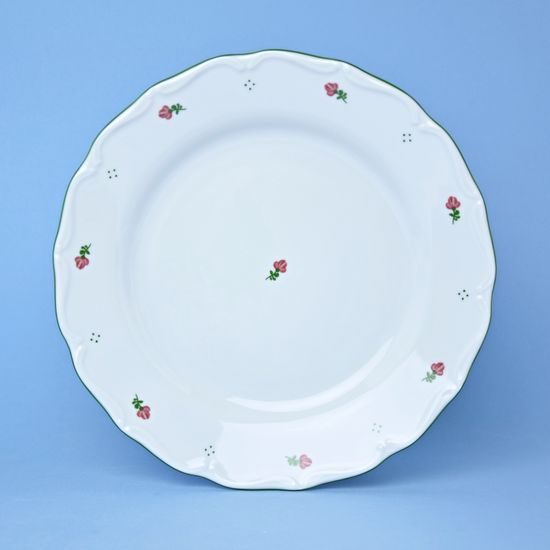 Talíř mělký 25 cm, Verona červený kvítek + zelená, G. Benedikt 1882