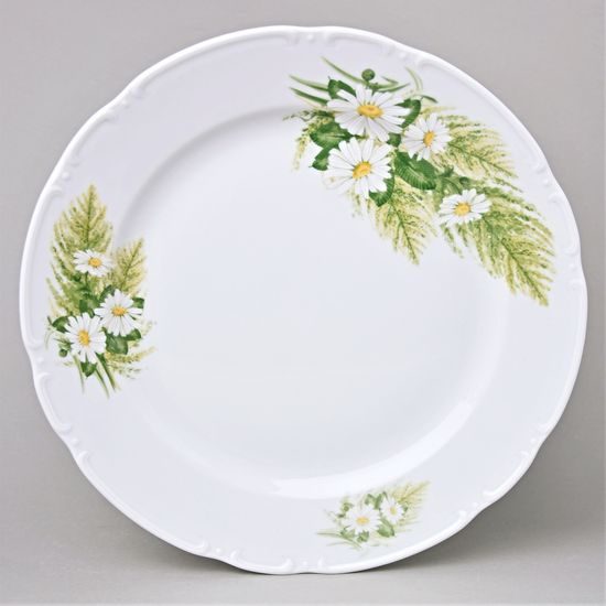 Club plate 30 cm, Thun 1794, karlovarský porcelán, CONSTANCE 80262 daisy