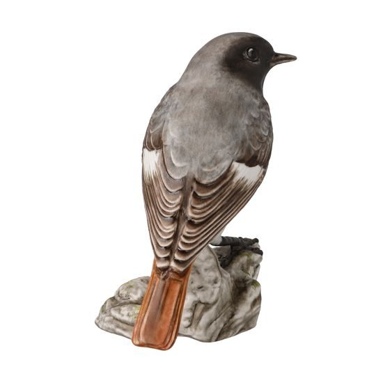 Figurka Černý rehek 9 / 5 / 9,5 cm, porcelán, pták roku 2025, Goebel