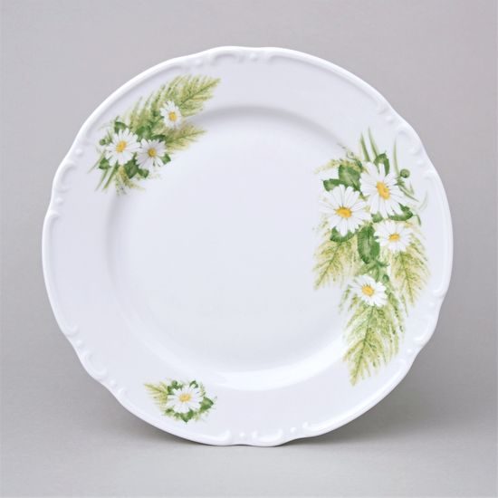 Talíř mělký 24 cm, Thun 1794, karlovarský porcelán, CONSTANCE 80262 kopretiny