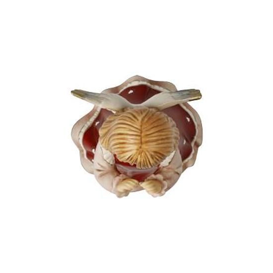 Anděl "Jsi mé zlatíčko" 8,5 / 7,5 / 14,5 cm, kamenina, Goebel