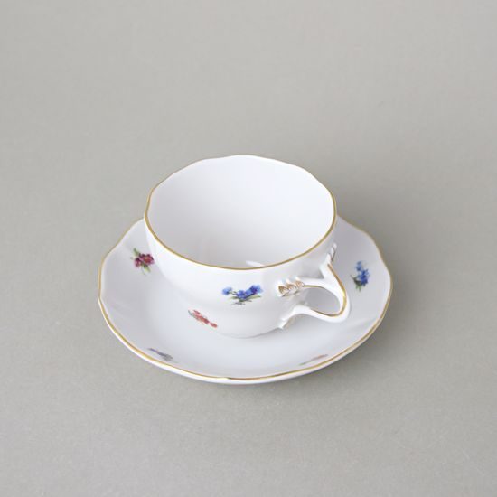 Cup and saucer A/1 plus A/1 0,12 l / 13 cm for coffee, Hazenka, Cesky porcelan a.s.