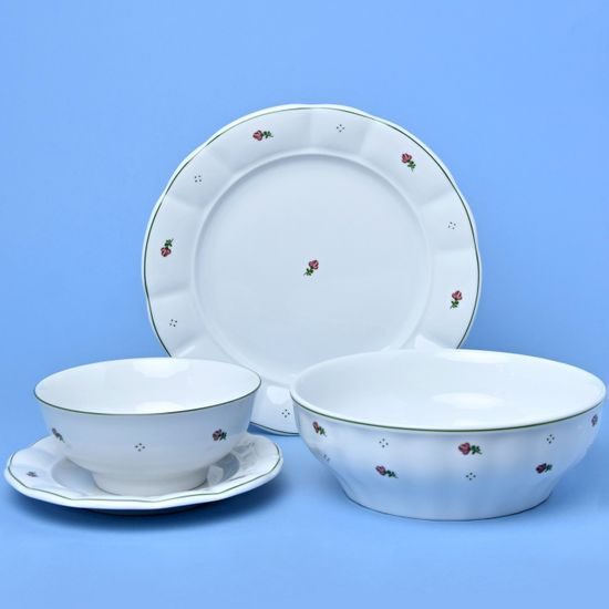 Dinner set 13 pcs., red flowers + green, G. Benedikt 1882