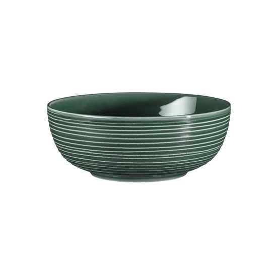Terra MOSS GREEN: Mísa 20 cm, porcelán Seltmann