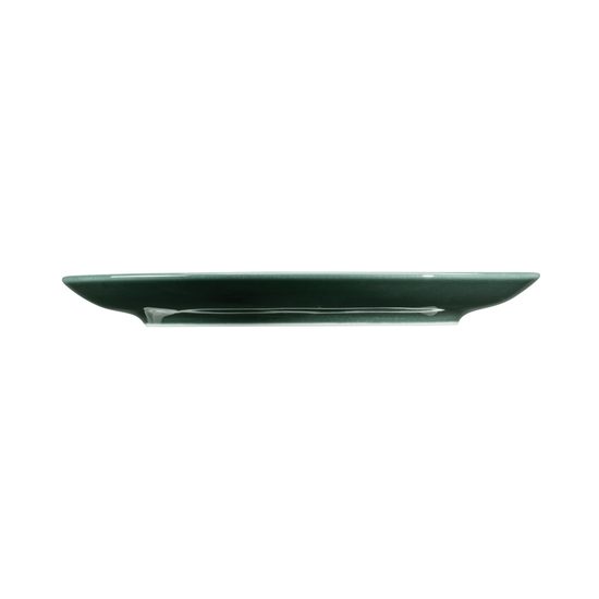 Terra MOSS GREEN: Podšálek 16,5 cm, porcelán Seltmann