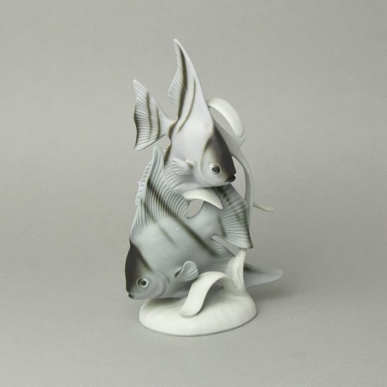 Angelfish (Pterophyllum), 15,5 x 9,5 x 25,5 cm, Pastel, Porcelain Figures Duchcov