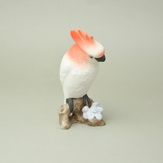Papoušek 18 cm, pastel, Porcelánové figurky Duchcov