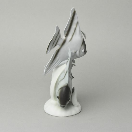Angelfish (Pterophyllum), 15,5 x 9,5 x 25,5 cm, Pastel, Porcelain Figures Duchcov