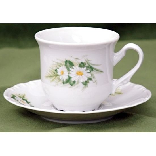 Šálek a podšálek čajový 0,2 l / 14,5 cm, Thun 1794, karlovarský porcelán, CONSTANCE 80262 kopretiny