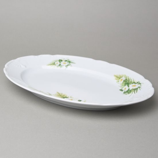 Dish oval 35 cm, Thun 1794, karlovarský porcelán, CONSTANCE 80262 daisy