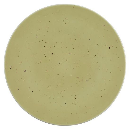 Talíř mělký 30 cm , Life Olive 57012, Porcelán Seltmann