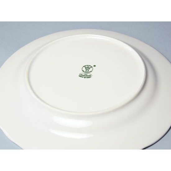 Plate dining 26 cm, ECO green onion