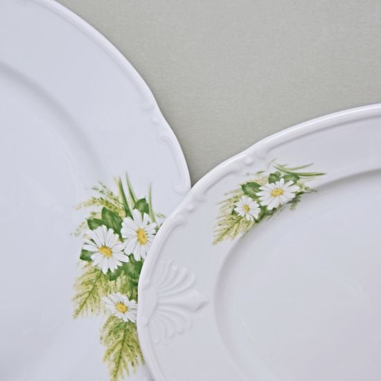 Dining set for 6 persons, Thun 1794 Carlsbad porcelain, CONSTANCE 80262