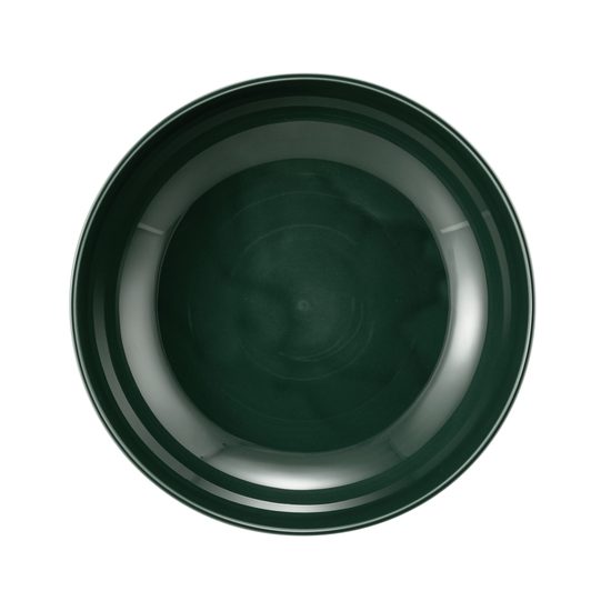 Terra MOSS GREEN: Mísa 25 cm, porcelán Seltmann