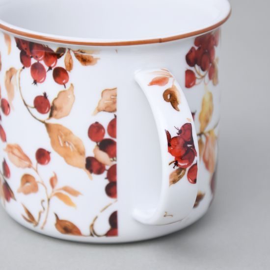 Mug Tina Fantasia, Autumn, 0,38 l big, Cesky porcelan a.s.