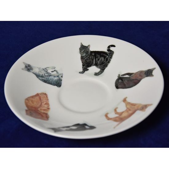 Cats: Cup 420 ml and saucer breakfast, English Fine Bone China, Roy Kirkham