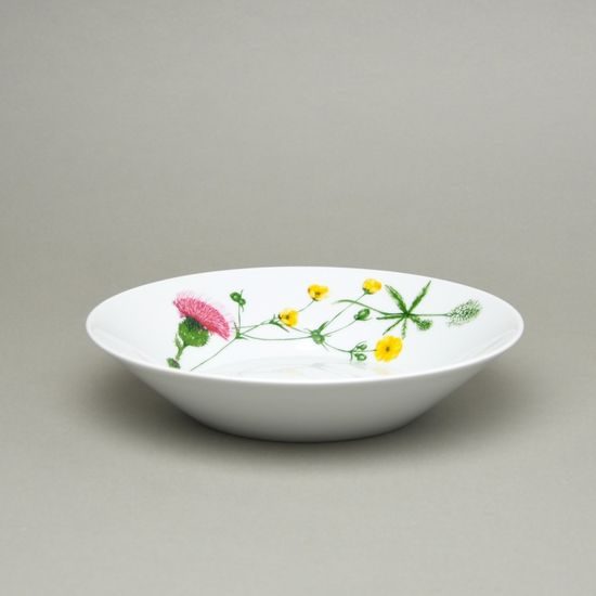 Tom Thistle: Soup plate (bowl) 22 cm, Thun 1794, karlovarský porcelán