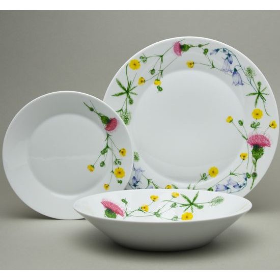 Tom Thistle: Plate set for 4 pers., Thun 1794, karlovarský porcelán