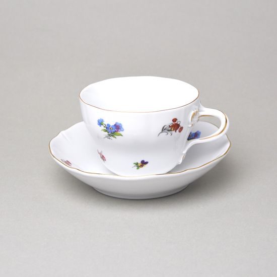 Šálek a podšálek C + C 250 ml / 15,5 cm na čaj, rakouská házenka