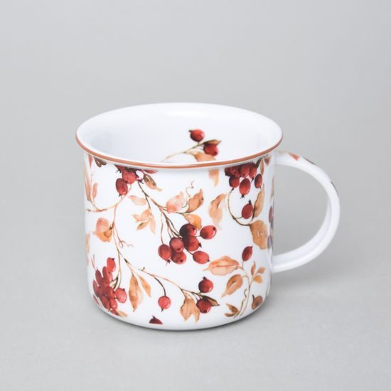 Mug Tina Fantasia, Autumn, 380 ml big, Cesky porcelan a.s.