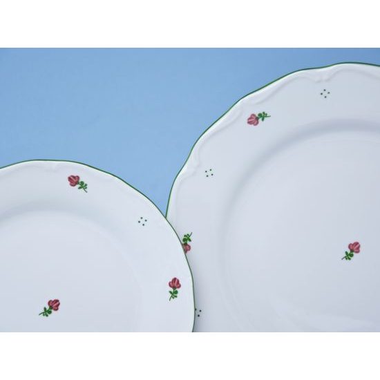 Plate set for 6 pers., Verona red flowers + green, G. Benedikt 1882