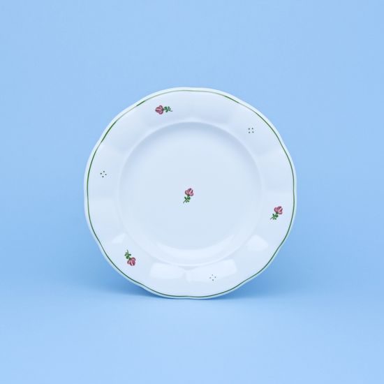 Dinner set 13 pcs., red flowers + green, G. Benedikt 1882