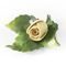 Rose with stem on table - yellow 6 x 5 x 3 cm, Unterweissbacher porcelain