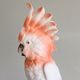 Cockatoo Parrot, 15 x 12 x 39 cm, Pastel, Porcelain Figures Duchcov