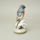 Bullfinch bird 12,5 x 10,5 x 19,5 cm, Porcelain Figures Duchcov