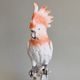 Papoušek Kakadu, 15 x 12 x 39 cm, Pastel, Porcelánové figurky Duchcov