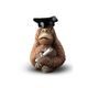 De Rosa - Graduate, Professional Orangutans, 6 x 6 x 10 cm, De Rosa Montevideo