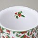 Mug Tina Fantasy, Christmas - Holly, 0,38 l, big, Cesky porcelan a.s.