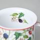 Mug Tina Fantasia, Rosehip And Blackberry, 240 ml, middle, Cesky porcelan a.s.