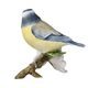 Blue Tit 9 / 9 / 9 cm, Biscuit china, Goebel