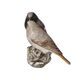 Figurine Bird of the year 2025 Black Redstart pair, 14 / 8,5 / 10,5, porcelain, Goebel