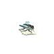 Fly 3,5 x 2,2 x 1,7 cm, Porzellanmanufaktur Scheibe-Alsbach
