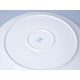 Dish round flat 35 cm (club plate), White with blue line, Cesky porcelan a.s.