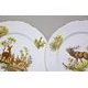 Plate dinner 25 cm set of 6 pcs., Thun 1794 Carlsbad porcelain, BERNADOTTE myslivecká