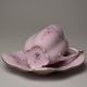 Cup 100 ml and saucer 13 cm, Regina, Rose China Chodov